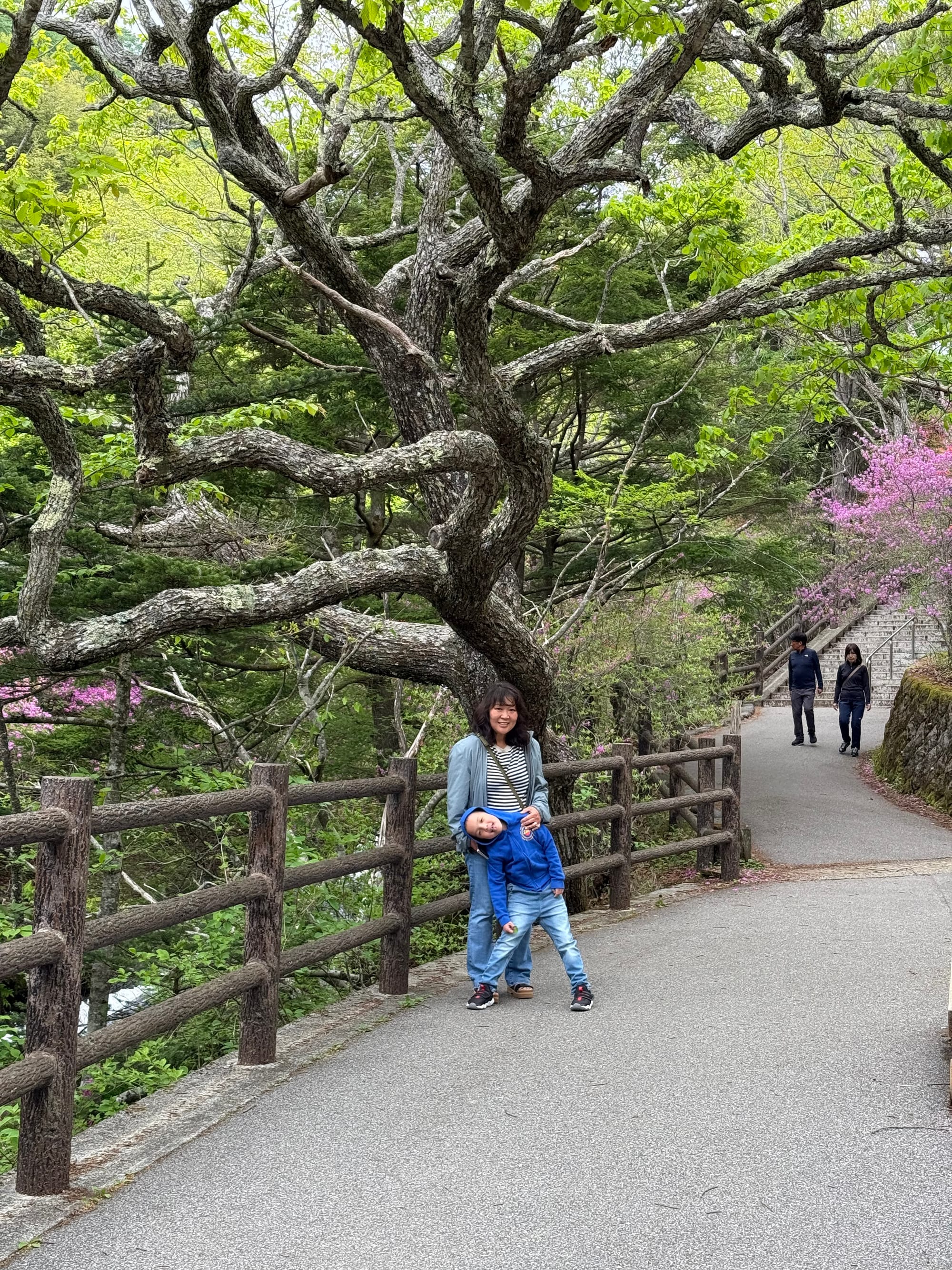Japan - Day 9 - Nikko